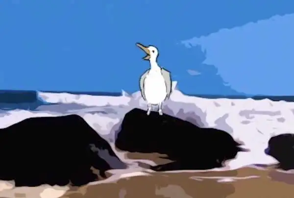 Visuel de Seagull's Roar